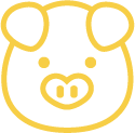 Pig icon