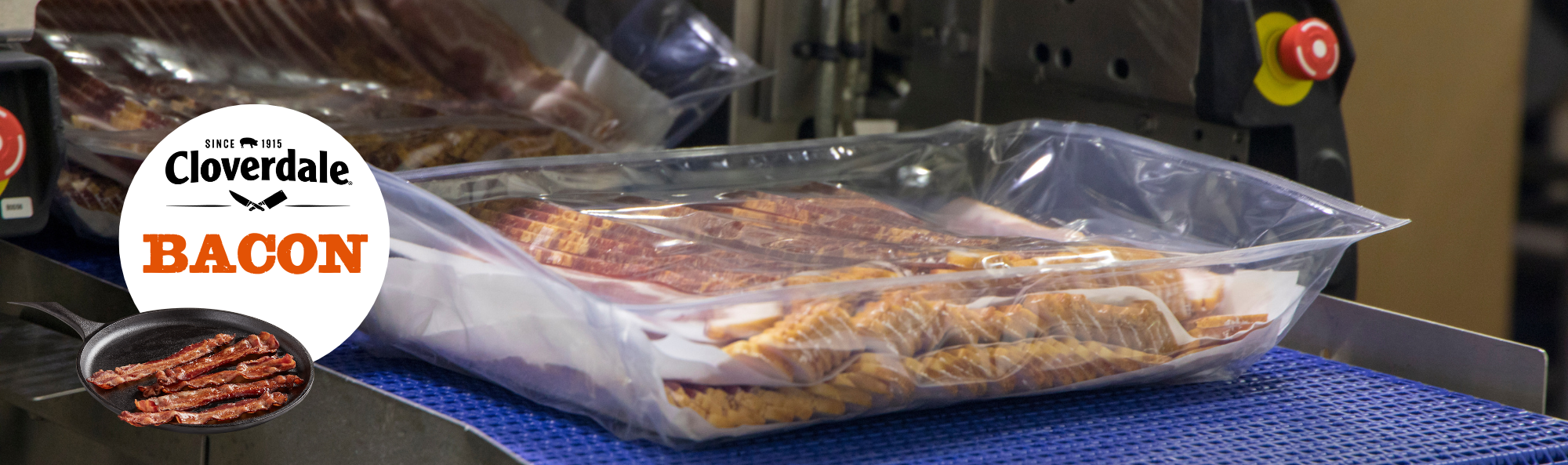 Bulk slices of bacon in package on conveyor belot